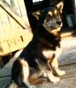 VAL_407624.jpg