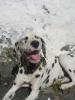 stanislava_921638.jpg