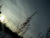 -1994-_391541.jpg