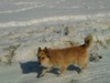 -1994-_554433.jpg