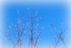 Roshen_975711.jpg