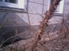 SterVo4ka_976307.jpg