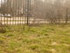 beegraf_393461.jpg