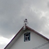 gaduchka-oo_260110.jpg