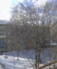 gaduchka-oo_415552.jpg