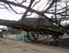 gaduchka-oo_651966.jpg