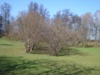 kroxa_361800.jpg