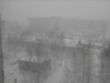 tatjana_215905.jpg