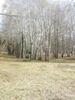 zajka008_908702.jpg