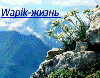Ручнaя кaртинкa Zhenya