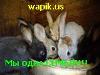 sixxx_880548.jpg